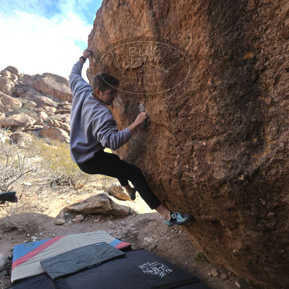 Filename: SRM_20250112_1105150.jpg
Aperture: f/5.6
Shutter Speed: 1/800
Body: Canon EOS R6
Lens: Canon EF 16-35mm f/2.8 L