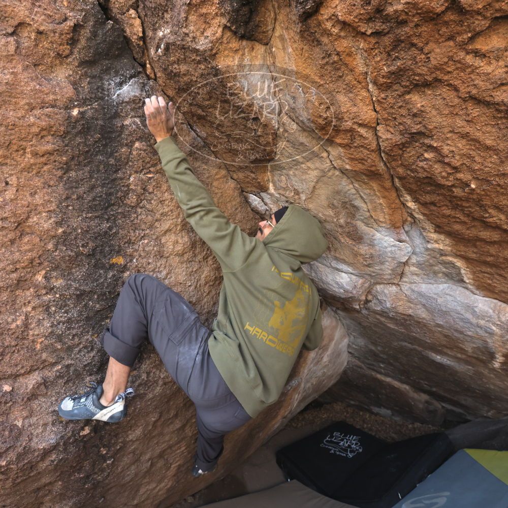 Filename: SRM_20250112_1106320.jpg
Aperture: f/5.6
Shutter Speed: 1/800
Body: Canon EOS R6
Lens: Canon EF 16-35mm f/2.8 L