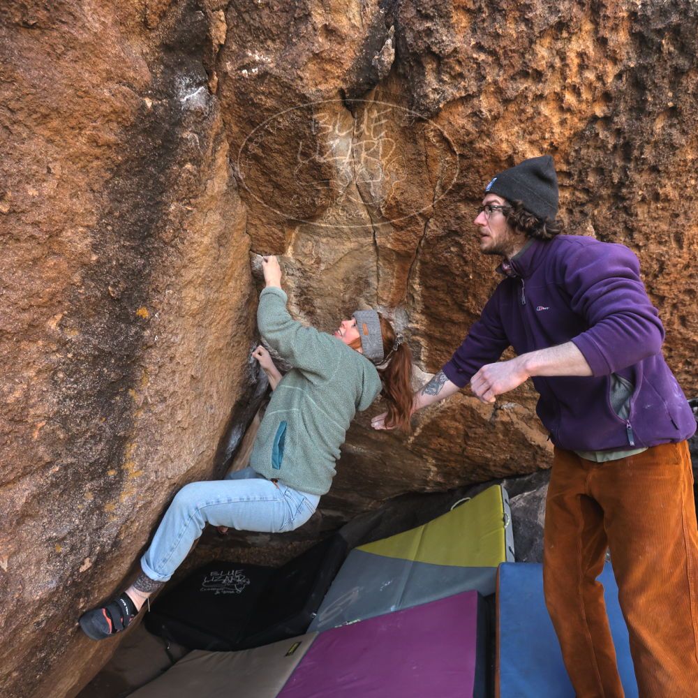 Filename: SRM_20250112_1117470.jpg
Aperture: f/5.6
Shutter Speed: 1/800
Body: Canon EOS R6
Lens: Canon EF 16-35mm f/2.8 L