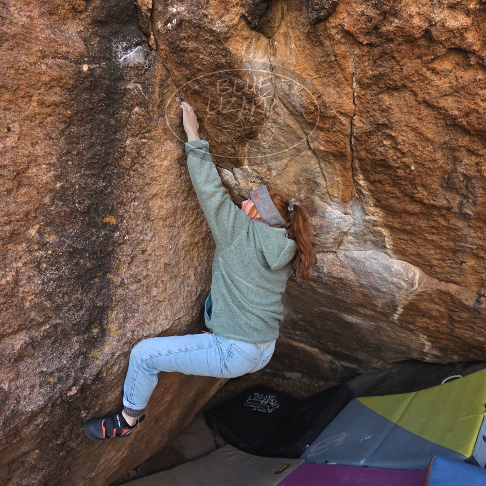 Filename: SRM_20250112_1121250.jpg
Aperture: f/5.6
Shutter Speed: 1/500
Body: Canon EOS R6
Lens: Canon EF 16-35mm f/2.8 L