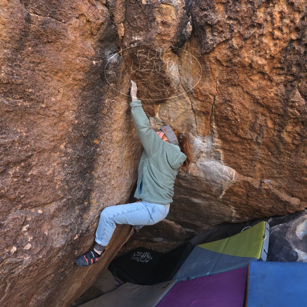 Filename: SRM_20250112_1126450.jpg
Aperture: f/5.6
Shutter Speed: 1/500
Body: Canon EOS R6
Lens: Canon EF 16-35mm f/2.8 L