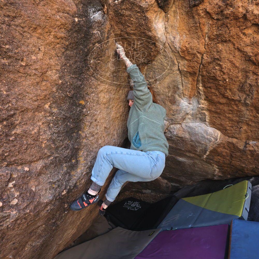 

Filename: SRM_20250112_1129080.jpg
Aperture: f/5.6
Shutter Speed: 1/500
Body: Canon EOS R6
Lens: Canon EF 16-35mm f/2.8 L