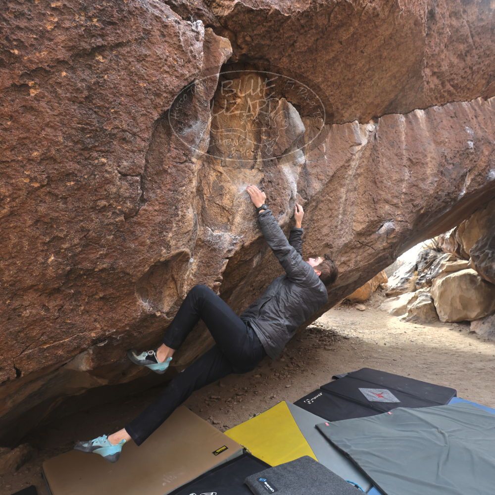 

Filename: SRM_20250112_1334160.jpg
Aperture: f/5.6
Shutter Speed: 1/500
Body: Canon EOS R6
Lens: Canon EF 16-35mm f/2.8 L