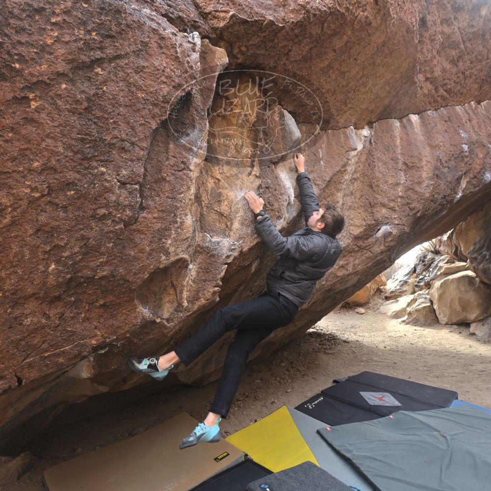 

Filename: SRM_20250112_1334161.jpg
Aperture: f/5.6
Shutter Speed: 1/500
Body: Canon EOS R6
Lens: Canon EF 16-35mm f/2.8 L