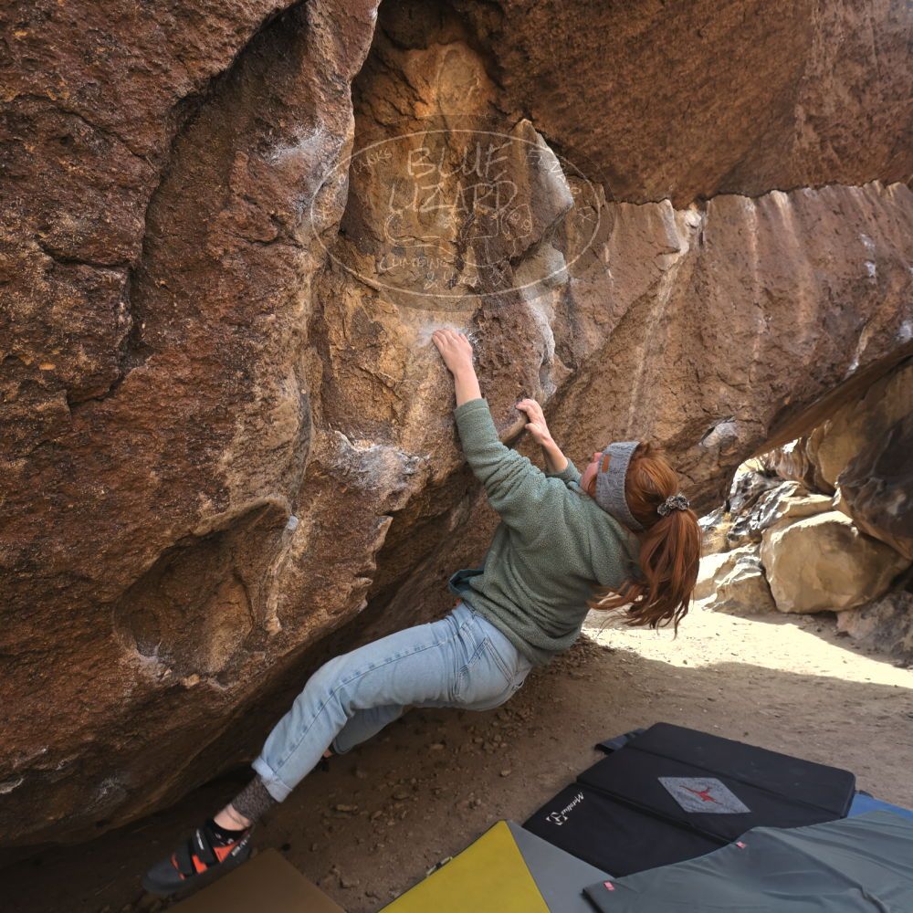 Filename: SRM_20250112_1338340.jpg
Aperture: f/5.6
Shutter Speed: 1/500
Body: Canon EOS R6
Lens: Canon EF 16-35mm f/2.8 L