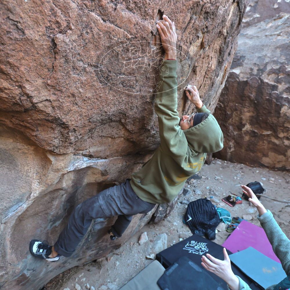 

Filename: SRM_20250112_1509280.jpg
Aperture: f/4.5
Shutter Speed: 1/400
Body: Canon EOS R6
Lens: Canon EF 16-35mm f/2.8 L