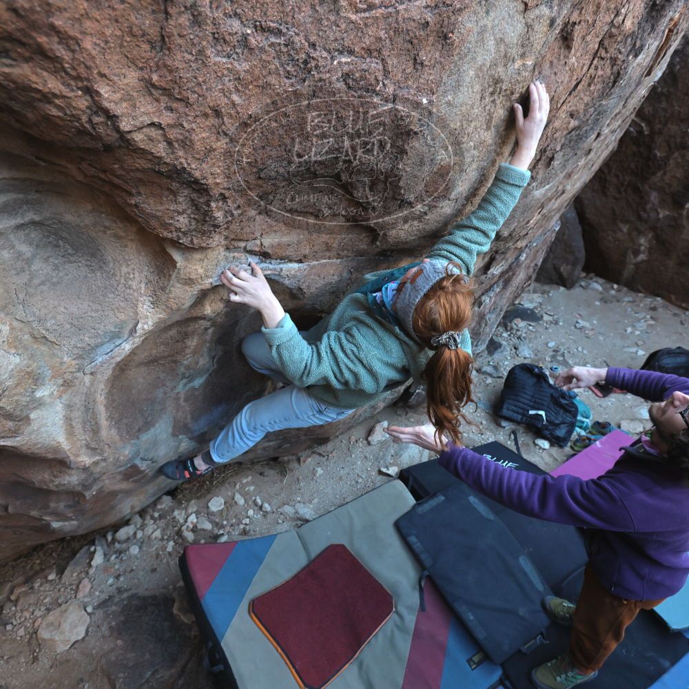 Filename: SRM_20250112_1510460.jpg
Aperture: f/4.5
Shutter Speed: 1/400
Body: Canon EOS R6
Lens: Canon EF 16-35mm f/2.8 L