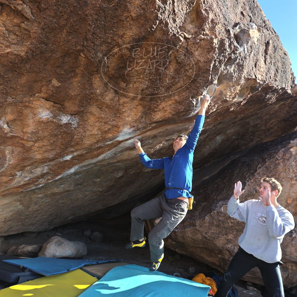 Filename: SRM_20250112_1516140.jpg
Aperture: f/4.5
Shutter Speed: 1/500
Body: Canon EOS R6
Lens: Canon EF 16-35mm f/2.8 L