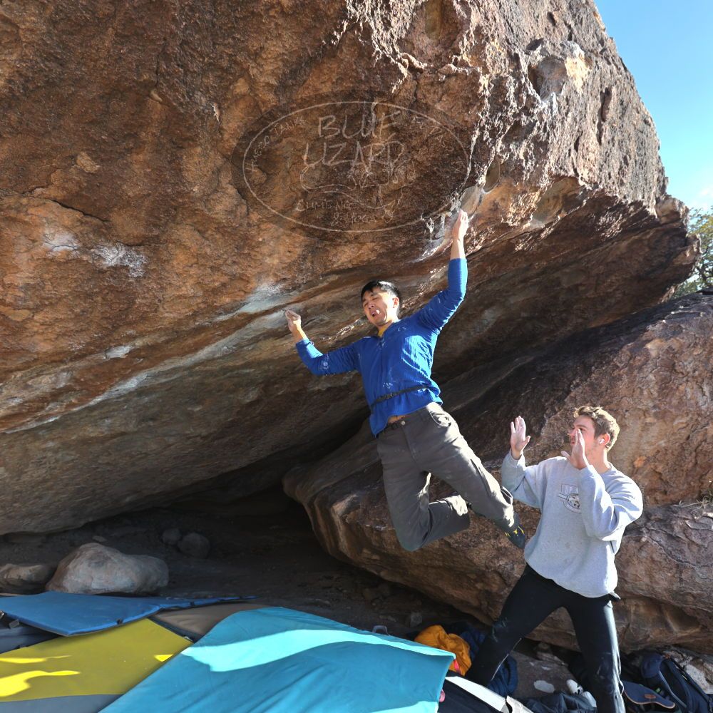 Filename: SRM_20250112_1516142.jpg
Aperture: f/4.5
Shutter Speed: 1/500
Body: Canon EOS R6
Lens: Canon EF 16-35mm f/2.8 L