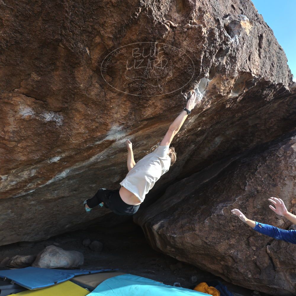 Filename: SRM_20250112_1516590.jpg
Aperture: f/4.5
Shutter Speed: 1/500
Body: Canon EOS R6
Lens: Canon EF 16-35mm f/2.8 L