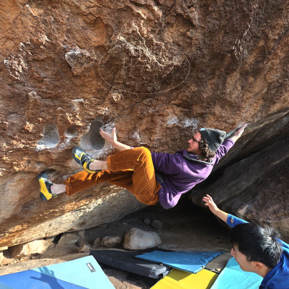 Filename: SRM_20250112_1532010.jpg
Aperture: f/4.5
Shutter Speed: 1/500
Body: Canon EOS R6
Lens: Canon EF 16-35mm f/2.8 L