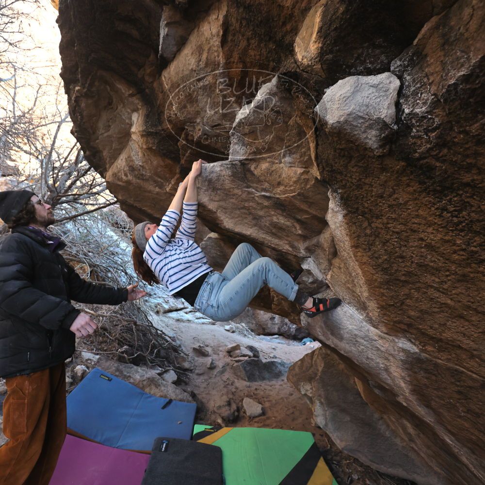 

Filename: SRM_20250112_1554050.jpg
Aperture: f/4.5
Shutter Speed: 1/640
Body: Canon EOS R6
Lens: Canon EF 16-35mm f/2.8 L