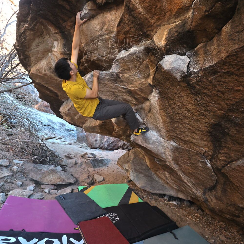 Filename: SRM_20250112_1602220.jpg
Aperture: f/4.5
Shutter Speed: 1/640
Body: Canon EOS R6
Lens: Canon EF 16-35mm f/2.8 L