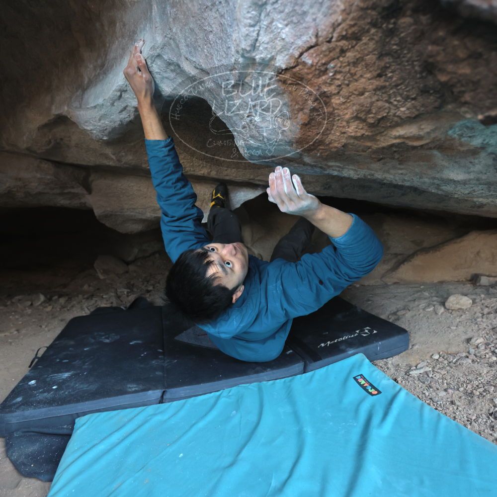 Filename: SRM_20250112_1640280.jpg
Aperture: f/3.2
Shutter Speed: 1/320
Body: Canon EOS R6
Lens: Canon EF 16-35mm f/2.8 L