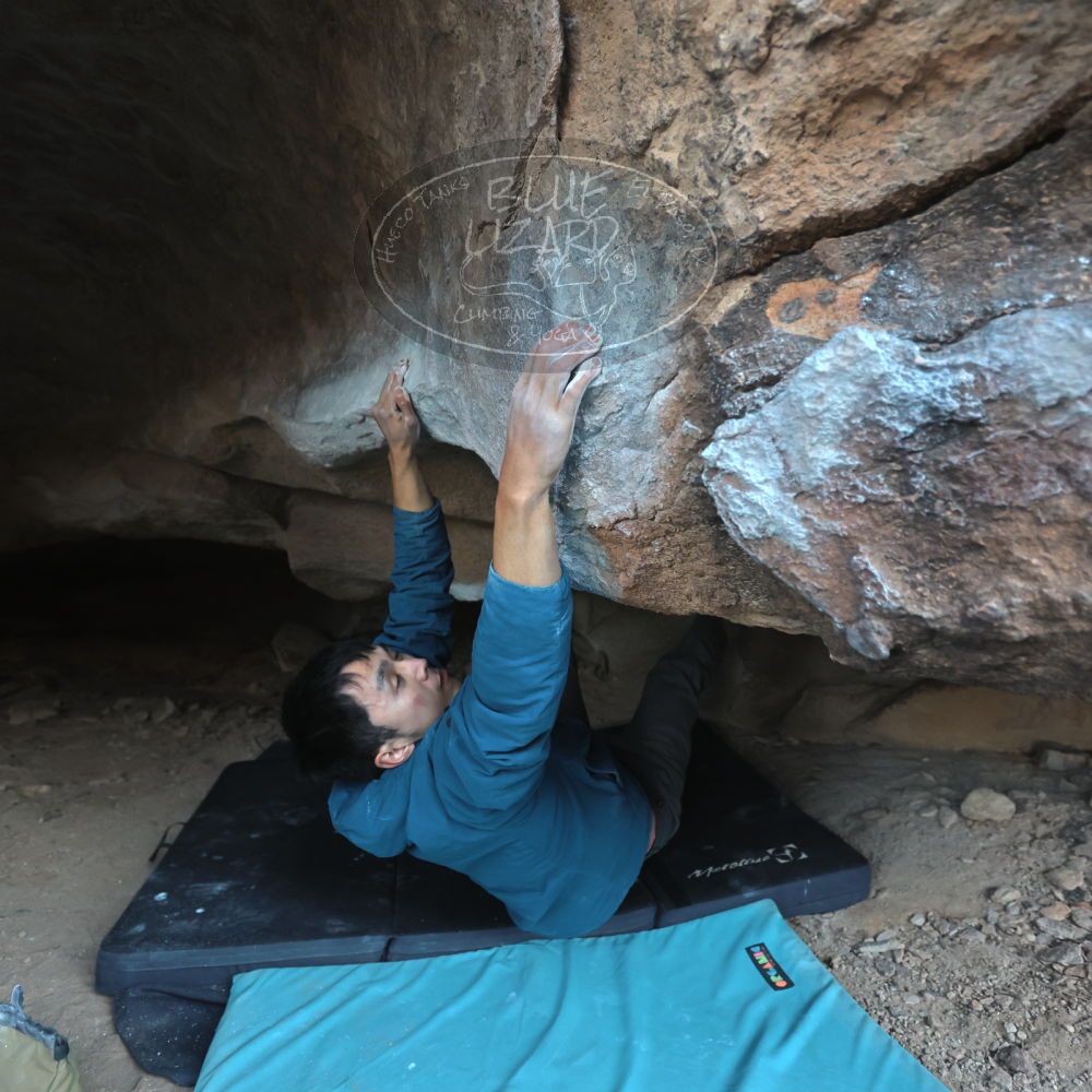 

Filename: SRM_20250112_1640310.jpg
Aperture: f/3.2
Shutter Speed: 1/320
Body: Canon EOS R6
Lens: Canon EF 16-35mm f/2.8 L