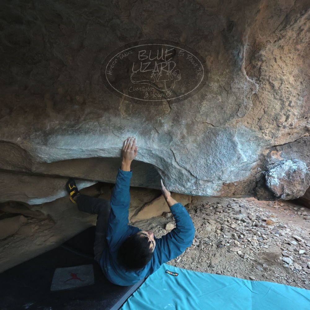 Filename: SRM_20250112_1648570.jpg
Aperture: f/4.0
Shutter Speed: 1/320
Body: Canon EOS R6
Lens: Canon EF 16-35mm f/2.8 L