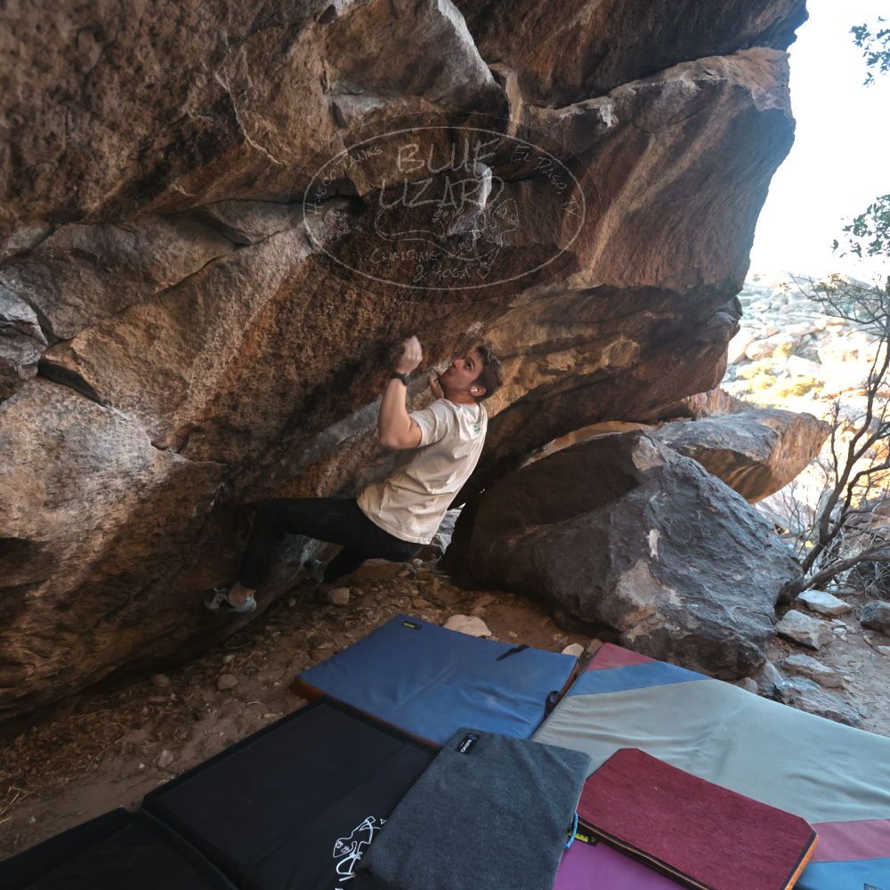 Filename: SRM_20250112_1655550.jpg
Aperture: f/4.0
Shutter Speed: 1/500
Body: Canon EOS R6
Lens: Canon EF 16-35mm f/2.8 L