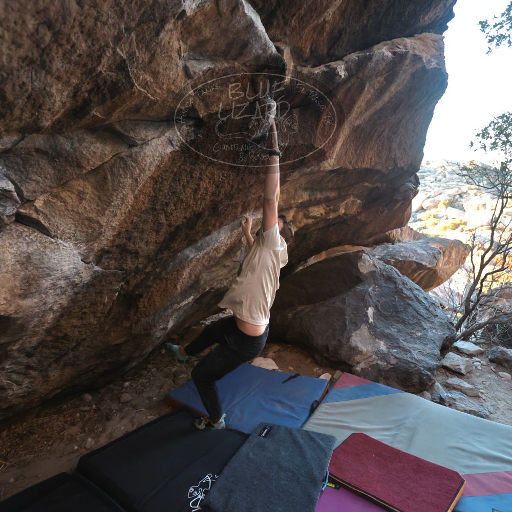 Filename: SRM_20250112_1655560.jpg
Aperture: f/4.0
Shutter Speed: 1/500
Body: Canon EOS R6
Lens: Canon EF 16-35mm f/2.8 L