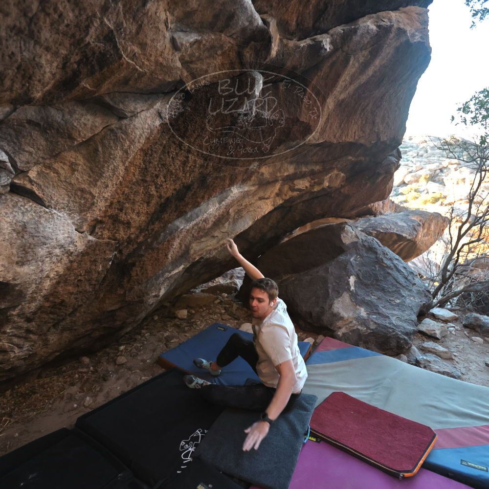 

Filename: SRM_20250112_1655561.jpg
Aperture: f/4.0
Shutter Speed: 1/500
Body: Canon EOS R6
Lens: Canon EF 16-35mm f/2.8 L