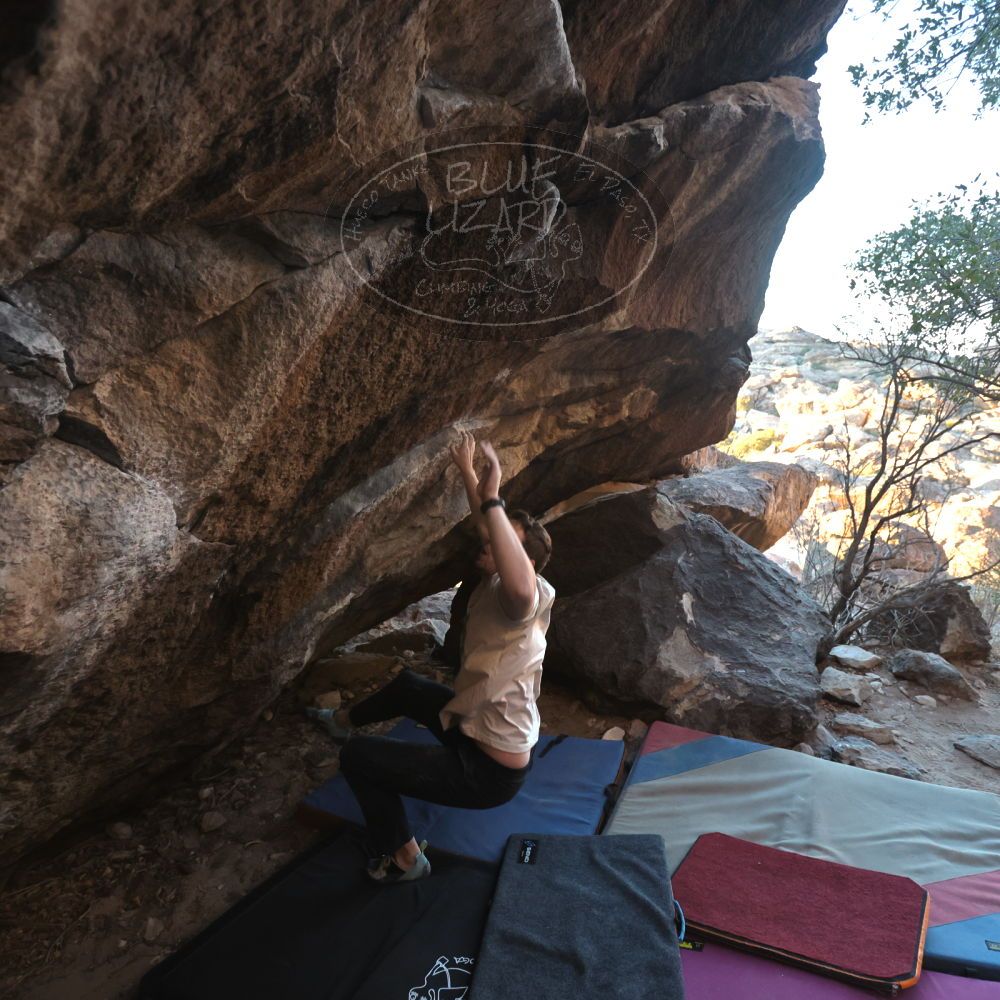 

Filename: SRM_20250112_1656571.jpg
Aperture: f/4.0
Shutter Speed: 1/500
Body: Canon EOS R6
Lens: Canon EF 16-35mm f/2.8 L