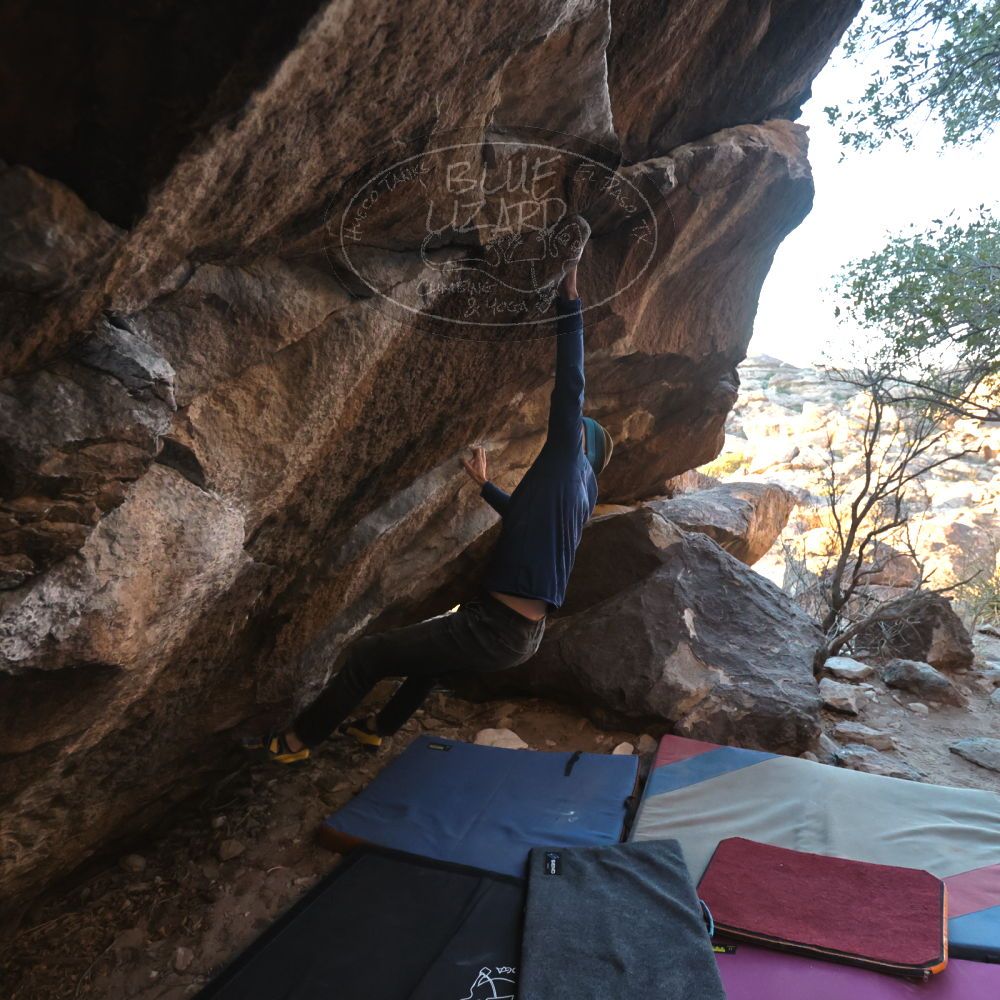 

Filename: SRM_20250112_1657500.jpg
Aperture: f/4.0
Shutter Speed: 1/500
Body: Canon EOS R6
Lens: Canon EF 16-35mm f/2.8 L