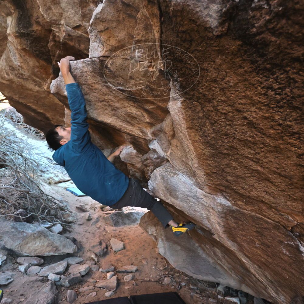 Filename: SRM_20250112_1701500.jpg
Aperture: f/4.0
Shutter Speed: 1/500
Body: Canon EOS R6
Lens: Canon EF 16-35mm f/2.8 L