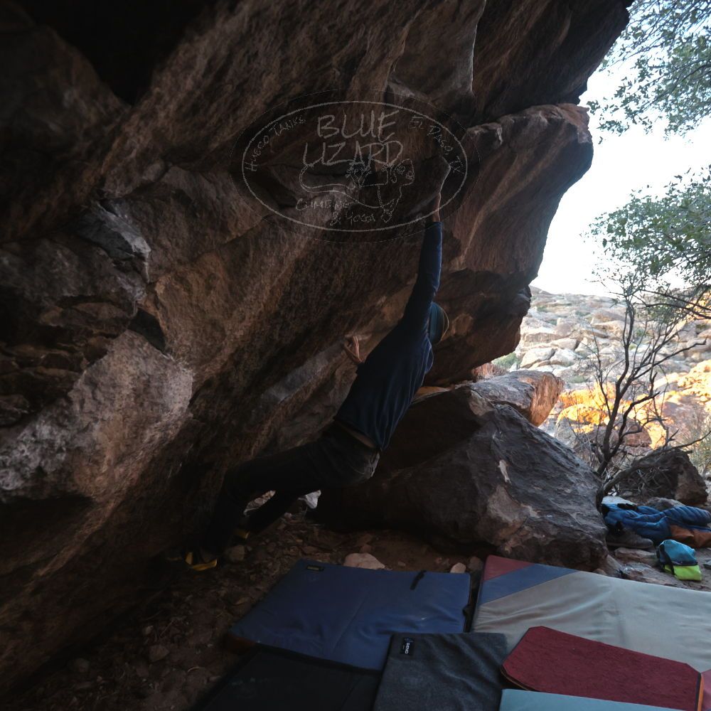 Filename: SRM_20250112_1707100.jpg
Aperture: f/4.0
Shutter Speed: 1/500
Body: Canon EOS R6
Lens: Canon EF 16-35mm f/2.8 L