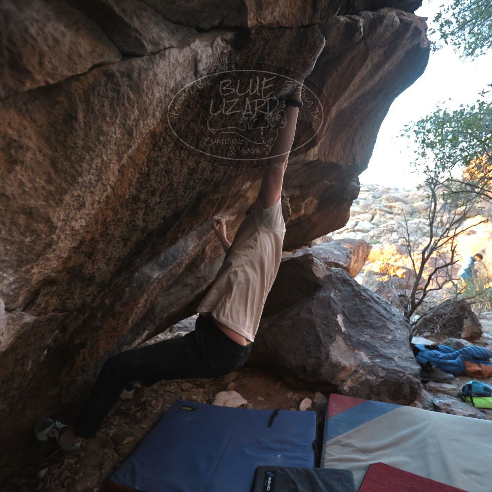 Filename: SRM_20250112_1709050.jpg
Aperture: f/4.0
Shutter Speed: 1/500
Body: Canon EOS R6
Lens: Canon EF 16-35mm f/2.8 L