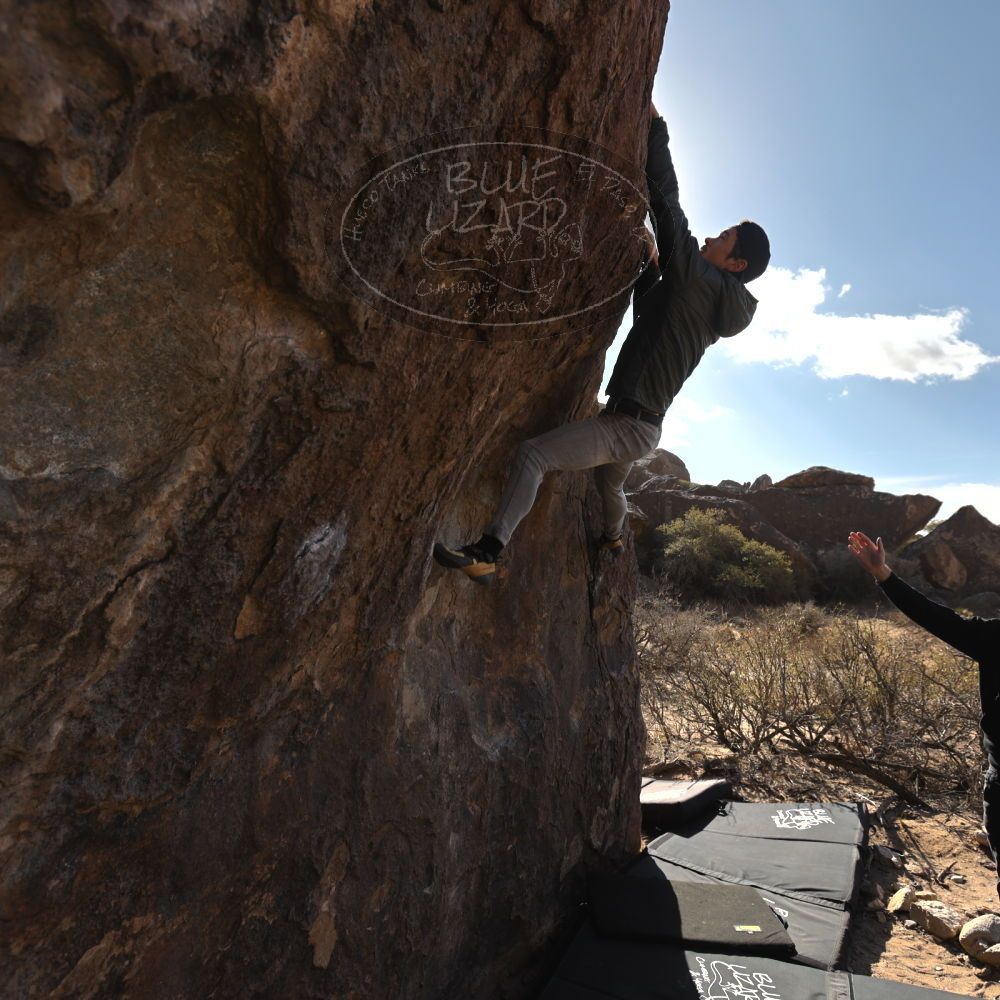 Filename: SRM_20250117_1039370.jpg
Aperture: f/5.6
Shutter Speed: 1/500
Body: Canon EOS R6
Lens: Canon EF 16-35mm f/2.8 L