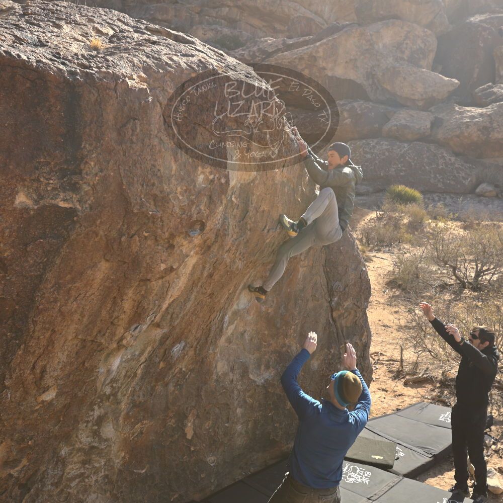 Filename: SRM_20250117_1043370.jpg
Aperture: f/5.6
Shutter Speed: 1/500
Body: Canon EOS R6
Lens: Canon EF 16-35mm f/2.8 L