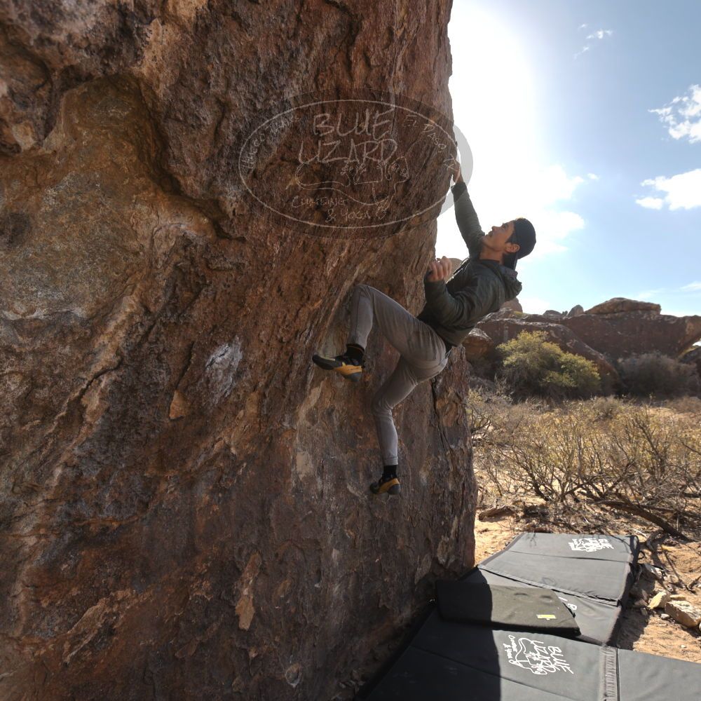 Filename: SRM_20250117_1047100.jpg
Aperture: f/5.6
Shutter Speed: 1/500
Body: Canon EOS R6
Lens: Canon EF 16-35mm f/2.8 L