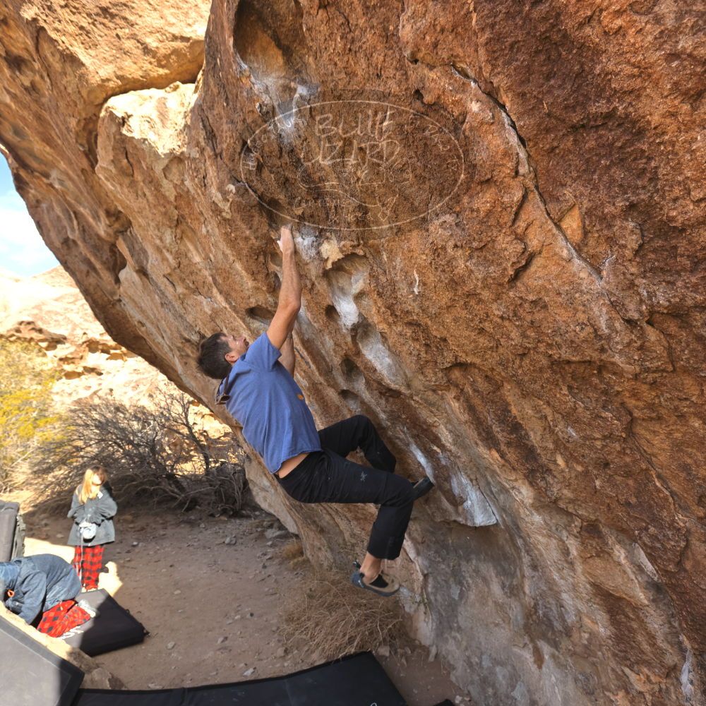 Filename: SRM_20250117_1053260.jpg
Aperture: f/5.6
Shutter Speed: 1/500
Body: Canon EOS R6
Lens: Canon EF 16-35mm f/2.8 L