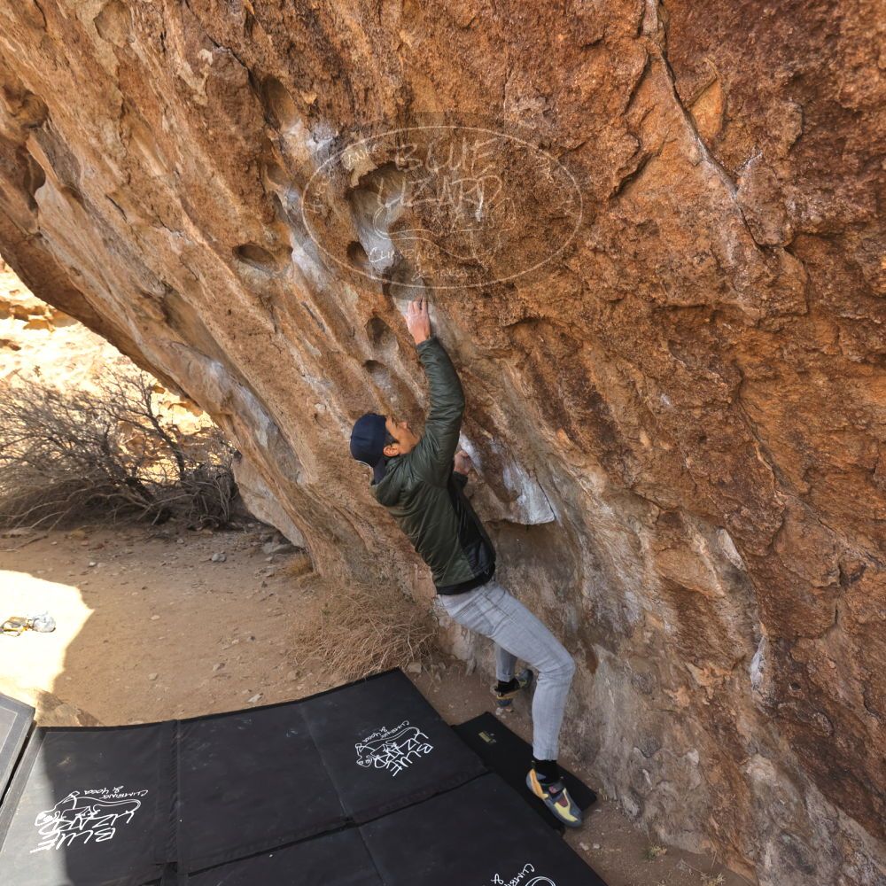 Filename: SRM_20250117_1057110.jpg
Aperture: f/5.6
Shutter Speed: 1/500
Body: Canon EOS R6
Lens: Canon EF 16-35mm f/2.8 L