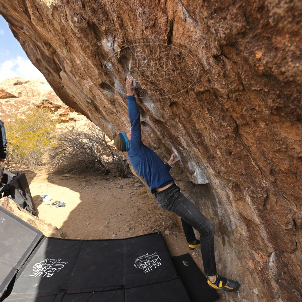 Filename: SRM_20250117_1059330.jpg
Aperture: f/5.6
Shutter Speed: 1/500
Body: Canon EOS R6
Lens: Canon EF 16-35mm f/2.8 L