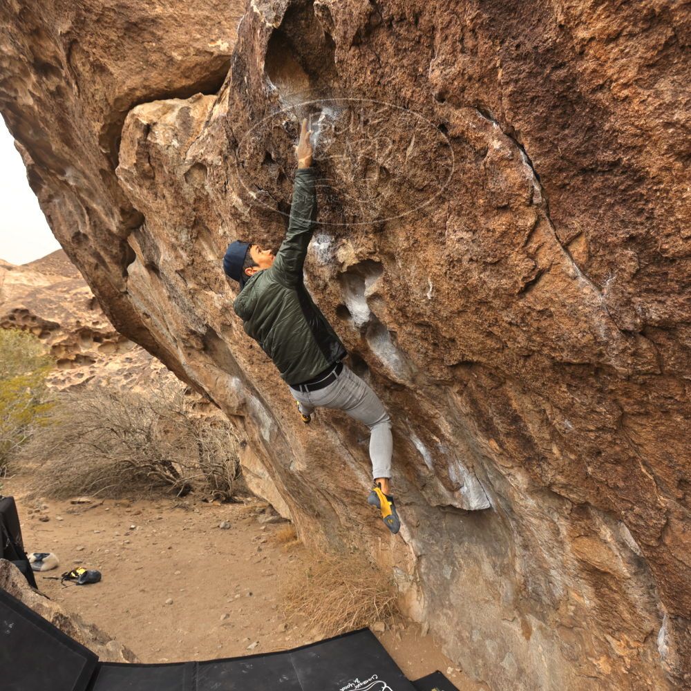 Filename: SRM_20250117_1118030.jpg
Aperture: f/5.6
Shutter Speed: 1/500
Body: Canon EOS R6
Lens: Canon EF 16-35mm f/2.8 L