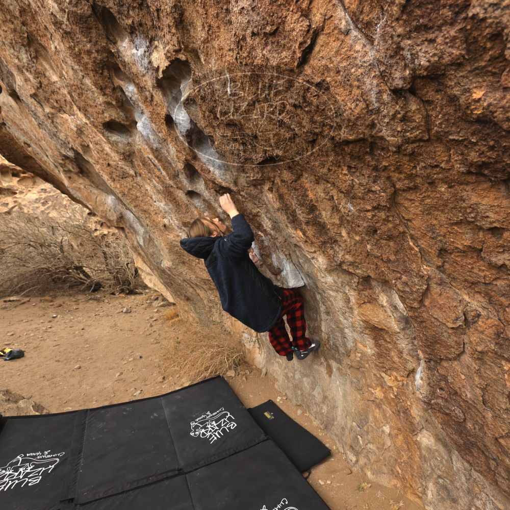 Filename: SRM_20250117_1119180.jpg
Aperture: f/5.6
Shutter Speed: 1/500
Body: Canon EOS R6
Lens: Canon EF 16-35mm f/2.8 L