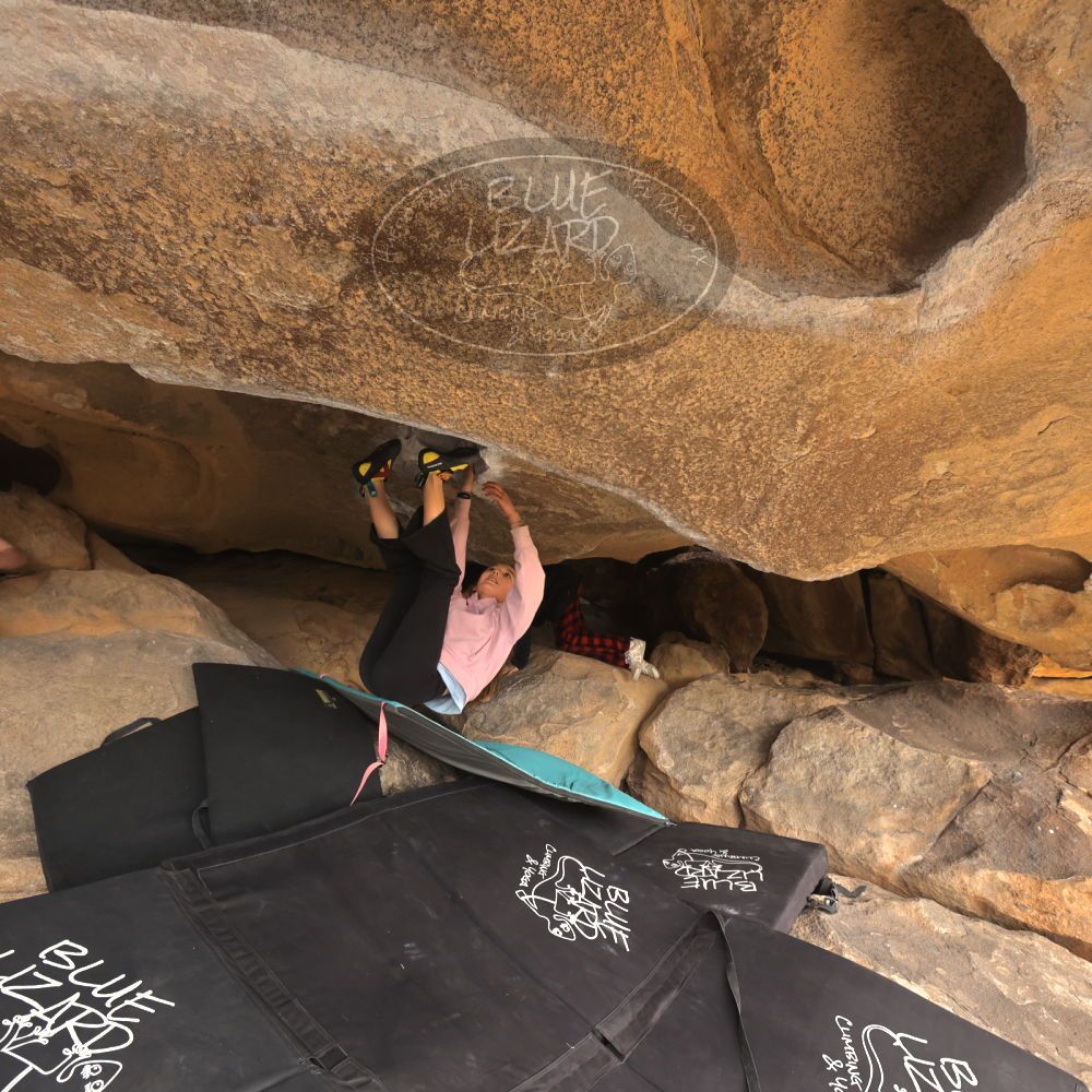 Filename: SRM_20250117_1232480.jpg
Aperture: f/5.6
Shutter Speed: 1/500
Body: Canon EOS R6
Lens: Canon EF 16-35mm f/2.8 L