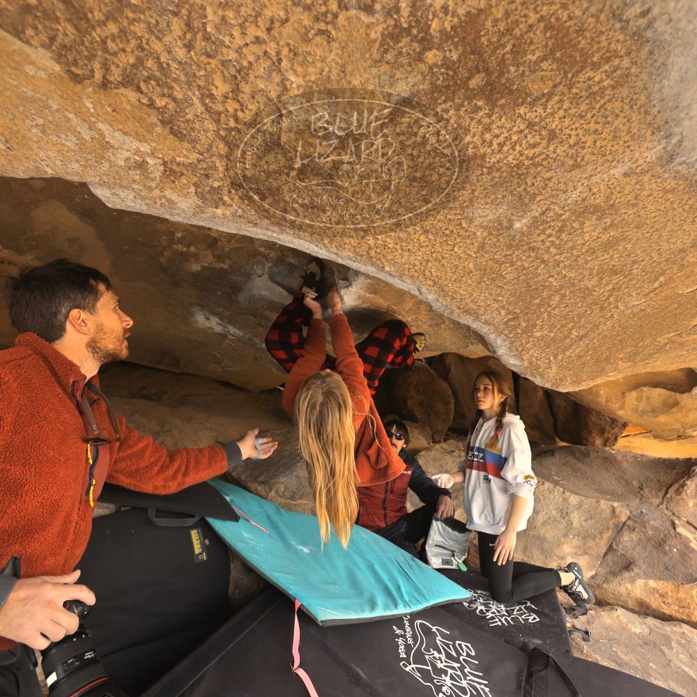 Filename: SRM_20250117_1237200.jpg
Aperture: f/5.0
Shutter Speed: 1/500
Body: Canon EOS R6
Lens: Canon EF 16-35mm f/2.8 L