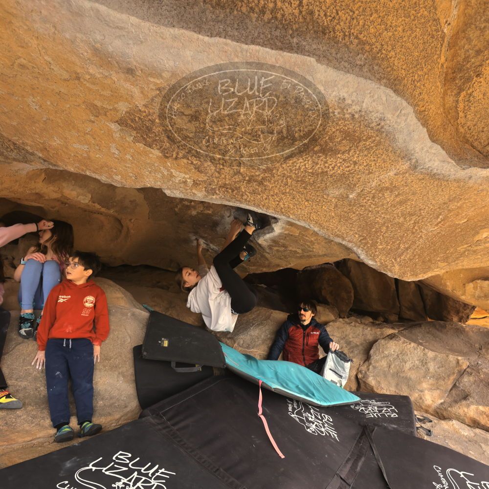 Filename: SRM_20250117_1238020.jpg
Aperture: f/5.6
Shutter Speed: 1/500
Body: Canon EOS R6
Lens: Canon EF 16-35mm f/2.8 L