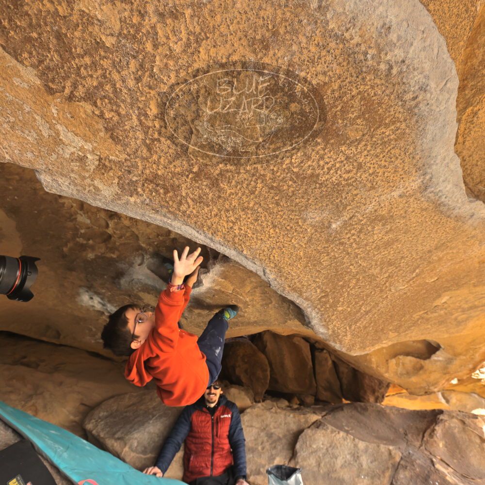 Filename: SRM_20250117_1245460.jpg
Aperture: f/5.6
Shutter Speed: 1/500
Body: Canon EOS R6
Lens: Canon EF 16-35mm f/2.8 L