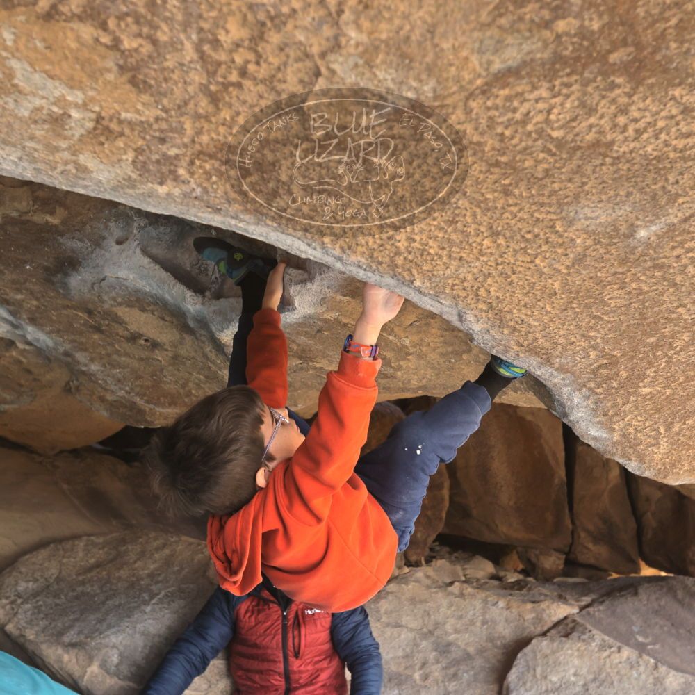 Filename: SRM_20250117_1311400.jpg
Aperture: f/5.6
Shutter Speed: 1/500
Body: Canon EOS R6
Lens: Canon EF 16-35mm f/2.8 L