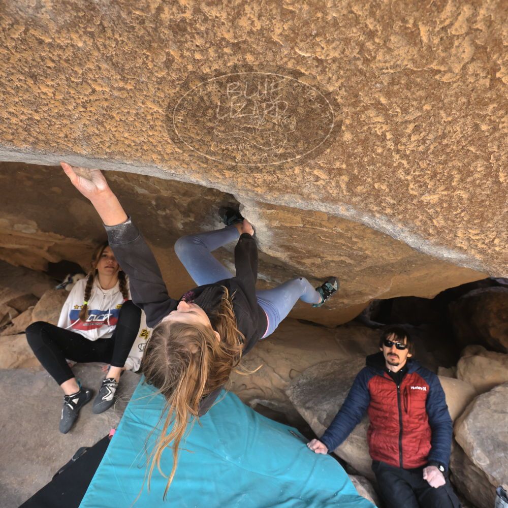 Filename: SRM_20250117_1313510.jpg
Aperture: f/5.6
Shutter Speed: 1/500
Body: Canon EOS R6
Lens: Canon EF 16-35mm f/2.8 L