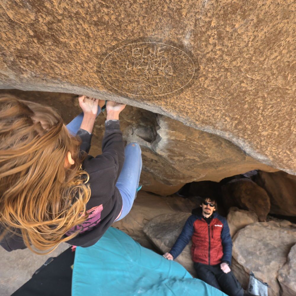 Filename: SRM_20250117_1313540.jpg
Aperture: f/5.6
Shutter Speed: 1/500
Body: Canon EOS R6
Lens: Canon EF 16-35mm f/2.8 L