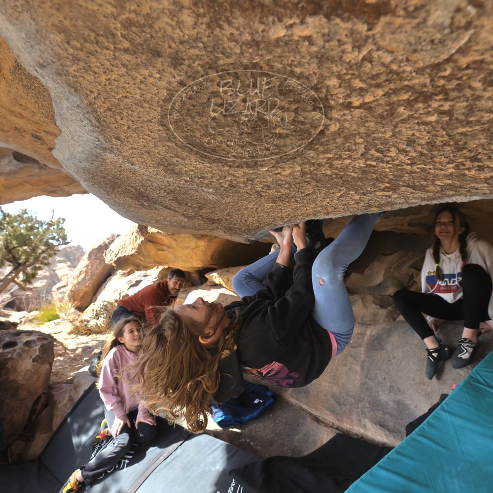 Filename: SRM_20250117_1313580.jpg
Aperture: f/5.6
Shutter Speed: 1/500
Body: Canon EOS R6
Lens: Canon EF 16-35mm f/2.8 L