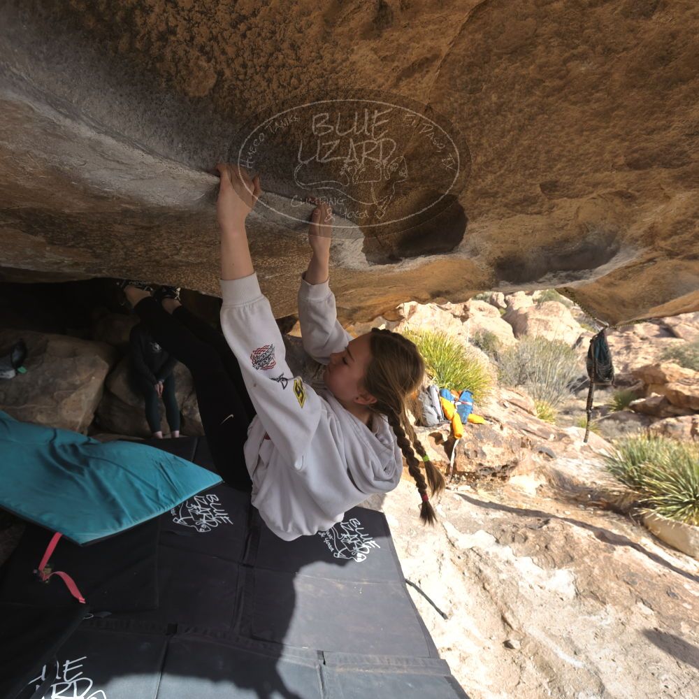 Filename: SRM_20250117_1330030.jpg
Aperture: f/5.6
Shutter Speed: 1/500
Body: Canon EOS R6
Lens: Canon EF 16-35mm f/2.8 L