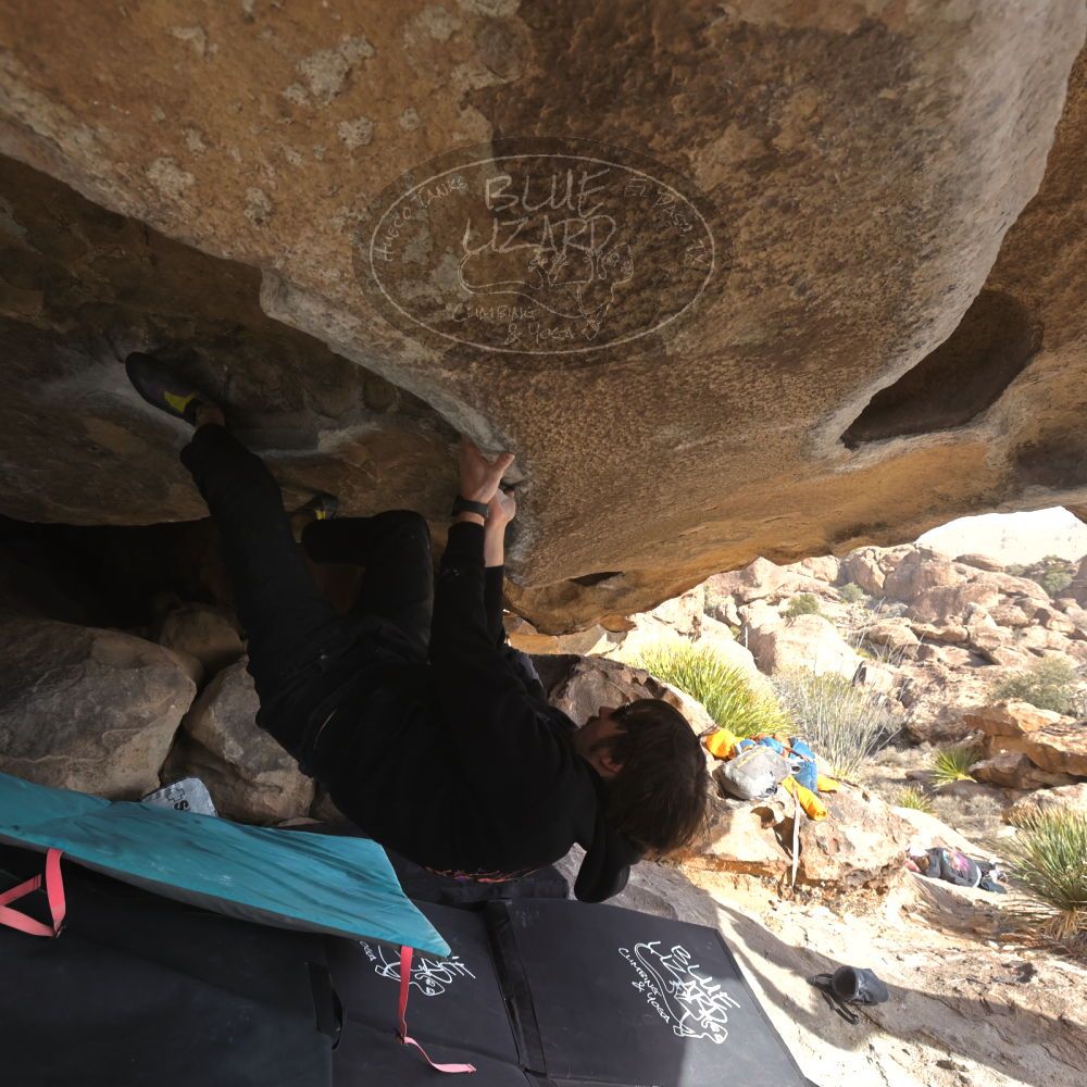 Filename: SRM_20250117_1401550.jpg
Aperture: f/6.3
Shutter Speed: 1/500
Body: Canon EOS R6
Lens: Canon EF 16-35mm f/2.8 L