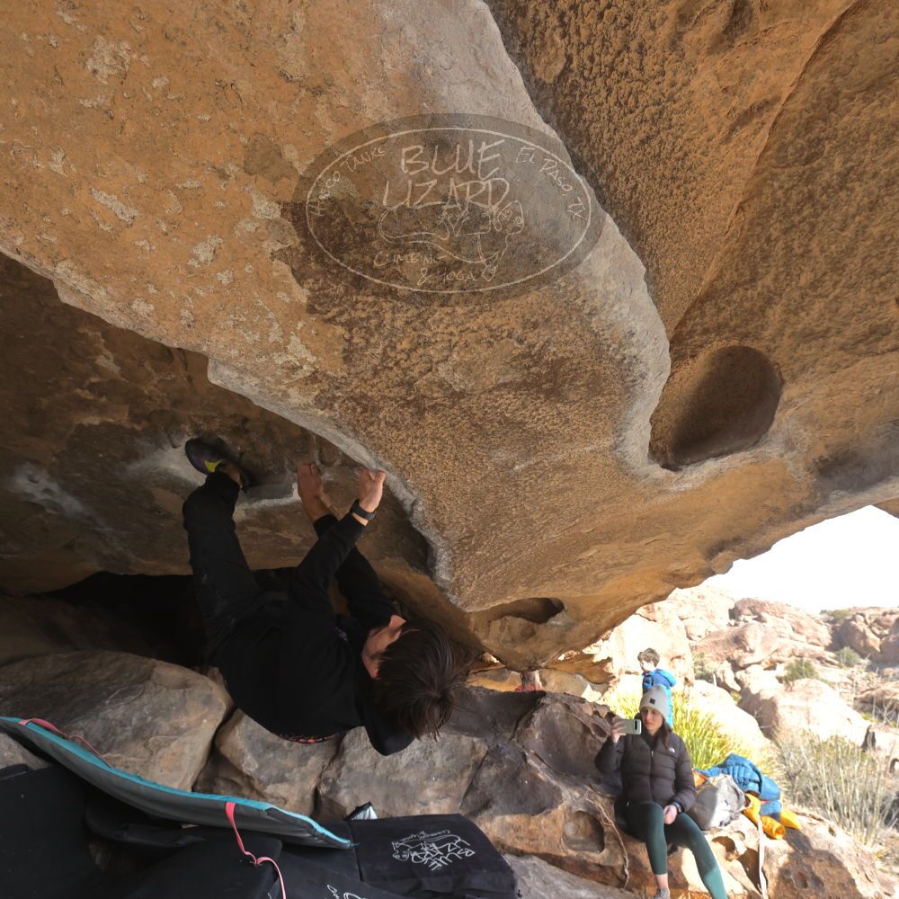 Filename: SRM_20250117_1421320.jpg
Aperture: f/6.3
Shutter Speed: 1/500
Body: Canon EOS R6
Lens: Canon EF 16-35mm f/2.8 L