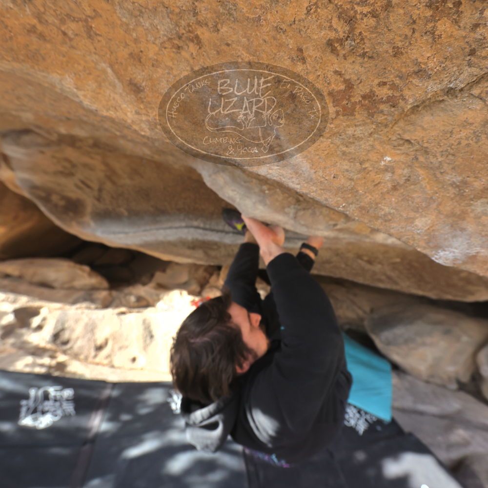 Filename: SRM_20250117_1452400.jpg
Aperture: f/6.3
Shutter Speed: 1/500
Body: Canon EOS R6
Lens: Canon EF 16-35mm f/2.8 L