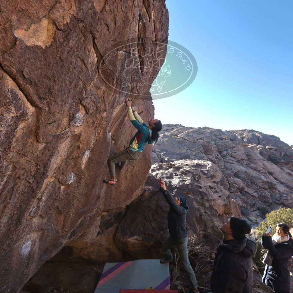 

Filename: SRM_20250118_1511130.jpg
Aperture: f/5.6
Shutter Speed: 1/320
Body: Canon EOS R6
Lens: Canon EF 16-35mm f/2.8 L