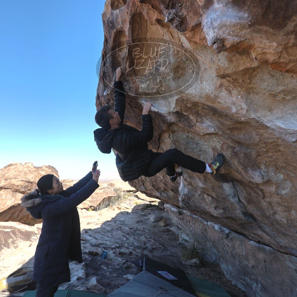 

Filename: SRM_20250119_1139420.jpg
Aperture: f/4.0
Shutter Speed: 1/500
Body: Canon EOS R6
Lens: Canon EF 16-35mm f/2.8 L